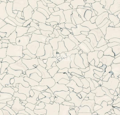 Кварцвиниловые полы Forbo Colorex EC EC 250202 ivory фото 1 | FLOORDEALER